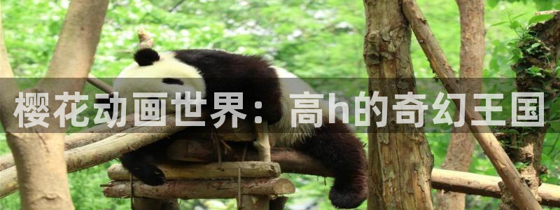 免费下载omofun：樱花动画世界：高h的奇幻王国