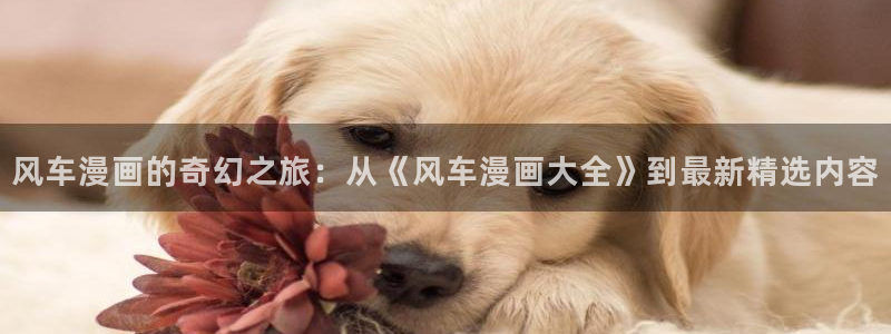omofun网页版登录入口：风车漫画的奇幻之旅：从《风车漫画大全》到最新精选内容