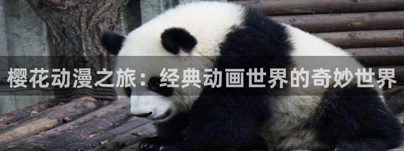 omofun官方网站下载：樱花动漫之旅：经典动画世界的奇妙世界