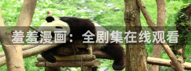 omofun动漫官方版下载：羞羞漫画：全剧集在线观看