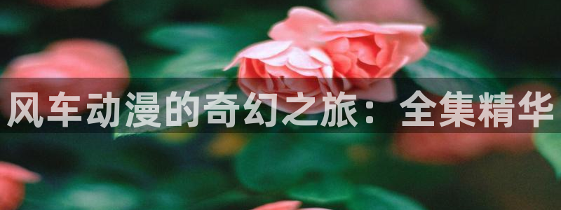 omofun.con：风车动漫的奇幻之旅：全集精华