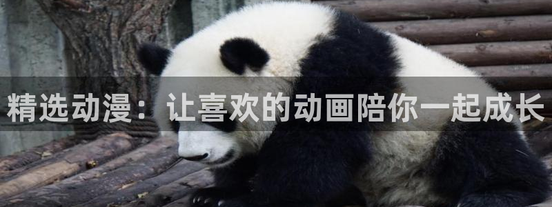 omofun动漫官网在线观看