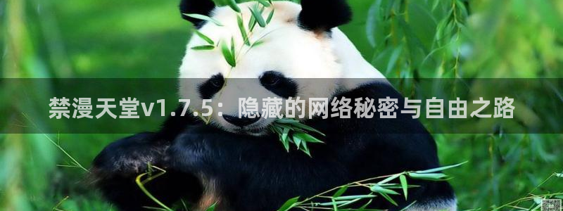 omofun\'：禁漫天堂v1.7.5：隐藏的网络秘密与自由之路