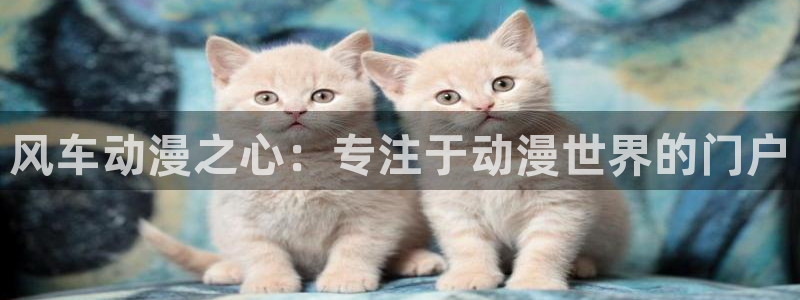 omofun可以投屏吗：风车动漫之心：专注于动漫世界的门户