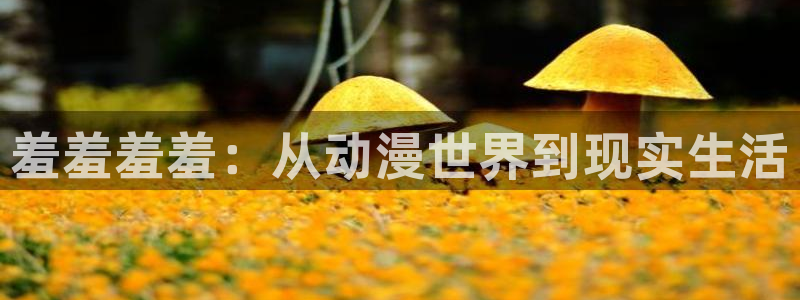 omofun网页版入口分享ios：羞羞羞羞：从动漫世界到现实生活
