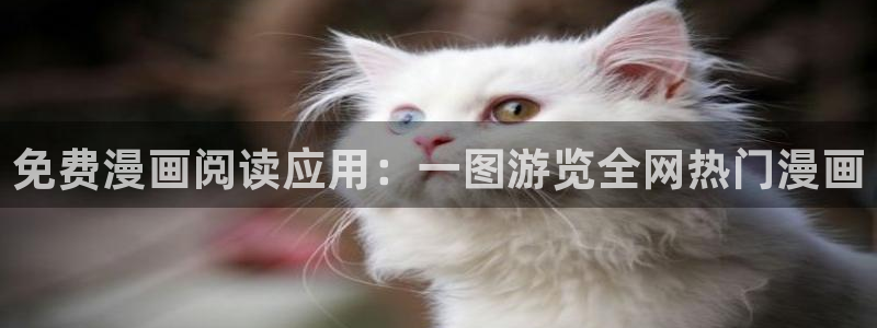 omofun动漫王国：免费漫画阅读应用：一图游览全网热门漫画