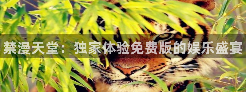 omofun官方网站入口：禁漫天堂：独家体验免费版的娱乐盛宴