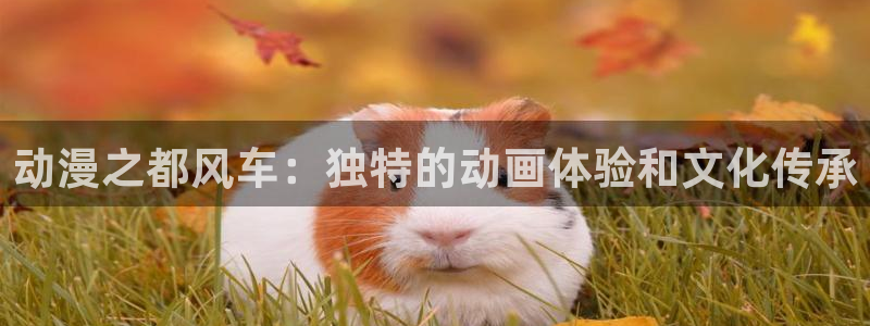 进入age动漫：动漫之都风车：独特的动画体验和文化传承