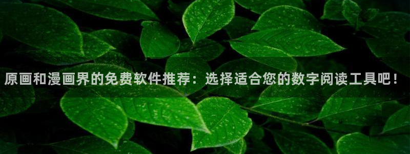 omofun动漫官网下载ios：原画和漫画界的免费软件推荐：选择适合您的数字阅读工具吧！