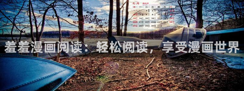 omofun动画网：羞羞漫画阅读：轻松阅读，享受漫画世界
