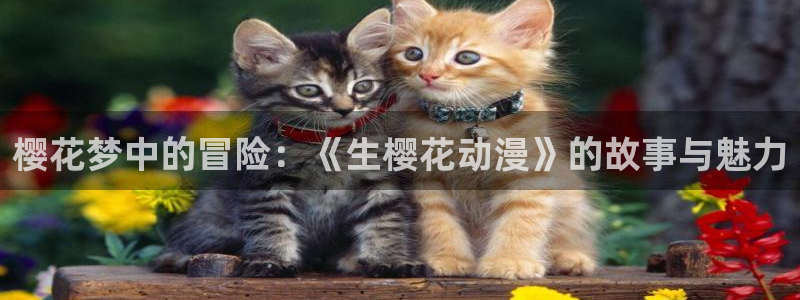 omofun最新官方下载：樱花梦中的冒险：《生樱花动漫》的故事与魅力