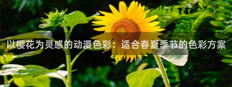 omofun网站入口：以樱花为灵感的动漫色彩：适合春夏季节的色彩方案