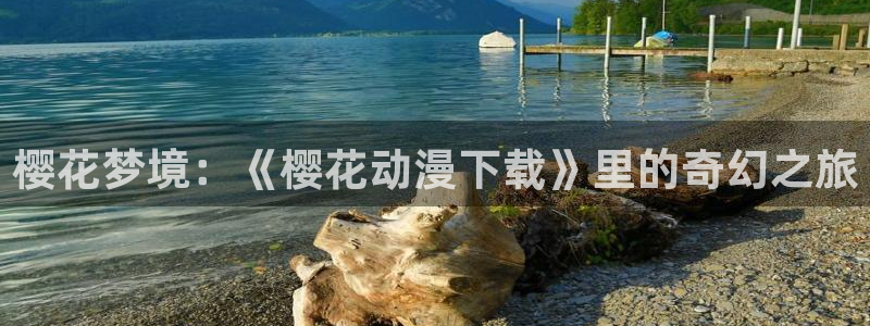 omofun动漫最新版本：樱花梦境：《樱花动漫下载》里的奇幻之旅