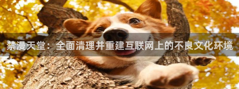 age动漫入口链接：禁漫天堂：全面清理并重建互联网上的不良文化环境