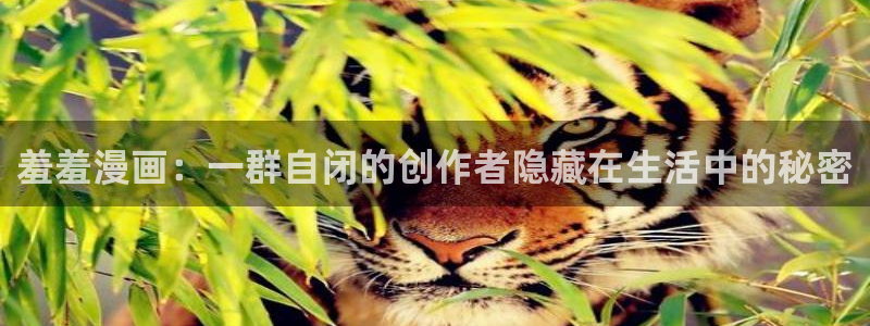 age动漫正版入口：羞羞漫画：一群自闭的创作者隐藏在生活中的秘密