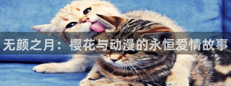 omofun动漫在线观看：无颜之月：樱花与动漫的永恒爱情故事
