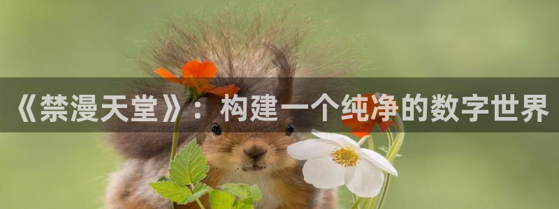 omofun动漫官网正版下载：《禁漫天堂》：构建一个纯净的数字世界