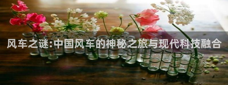 omofun,hanime：风车之谜:中国风车的神秘之旅与现代科技融合
