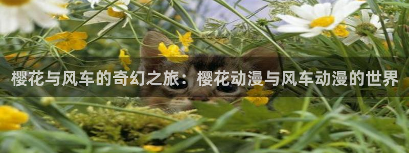 新版omofun下载：樱花与风车的奇幻之旅：樱花动漫与风车动漫的世界