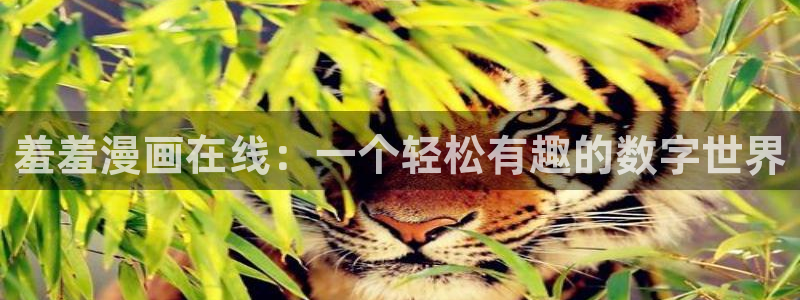 omofun注册：羞羞漫画在线：一个轻松有趣的数字世界