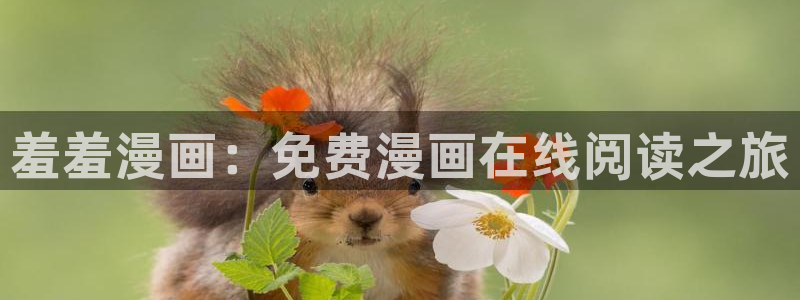 omofun动漫在线观看